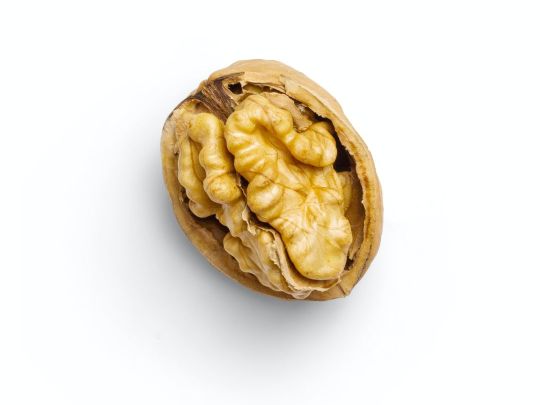 грецкий орех для пасты